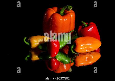 Brightly Colored Peppers covered in water drops on a wet reflective surface against a black field ready for preparation.  Plenty of room for Copy all Stock Photo