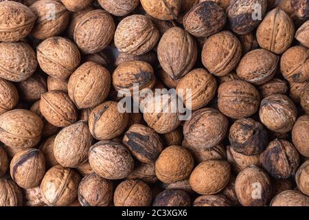 Scattered whole walnuts texture. Pattern, nuts background, texture close-up Stock Photo