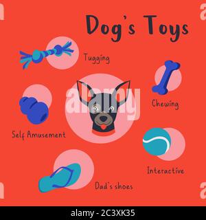 Colorful collection of types of dog toys circle icons. Stock Vector
