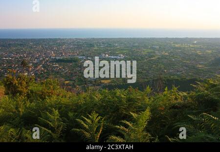 green ferns and panorama from the apuan alps and the mediterranean sea in countryside tuscany Stock Photo