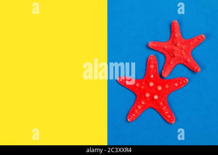 Red starfishes on a blue and yellow background Stock Photo