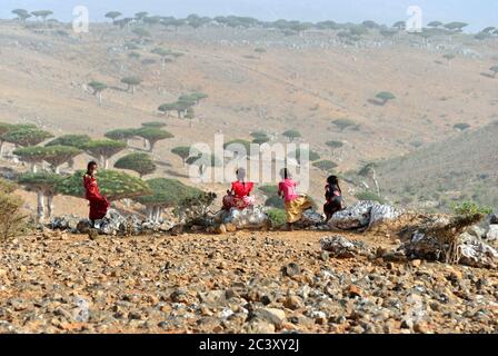 YEMEN - MAR 8, 2010: Unidentified children shown at Socotra island. Children grow up in the poorest country with little opportunity for education Stock Photo