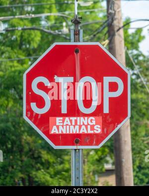 Stop Sign Eating System Stop sign with sticker „eating animals“, symbolic picture for ...