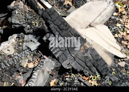 Charred remains of bunt down allotment hut fire damage wood Stock Photo