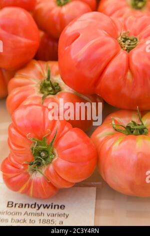Pile of Brandywine tomatoes for sale at a farmers market in Issaquah, Washington, USA Stock Photo