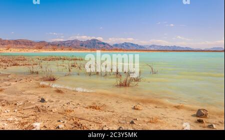 Emerald water of Cristal Reservoir at Ash Meadows National Refuge. Amargosa Valley. Nye County. Nevada. USA Stock Photo