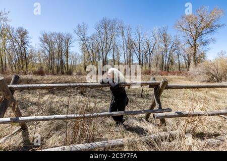 USA, Idaho, Bellevue, Senior woman relaxing on rustic rail fence Stock Photo