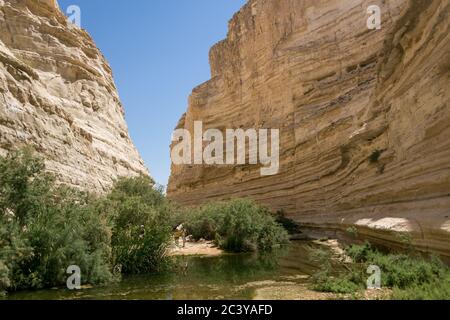 A canyon with Ein Avdat in the background Stock Photo