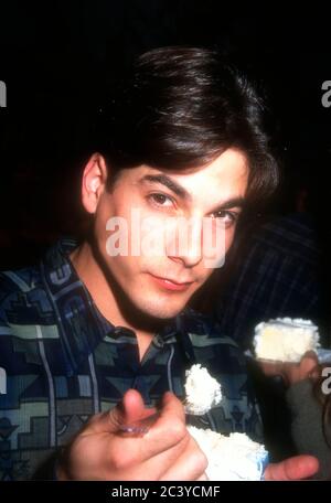 Burbank, California, USA 8th November 1995 Actor Bryan Dattilo attends Days Of Our Lives 30th Anniversary Party and Cake Cutting on November 8, 1995 at The Burbank Studios in Burbank, California, USA. Photo by Barry King/Alamy Stock Photo Stock Photo