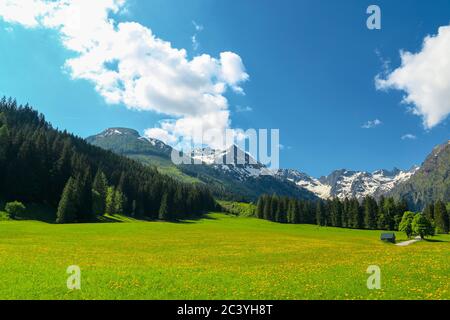 Scenic view of an idyllic alpine pasture at the Schladminger Tauern mountain range near the Steirischer Bodensee, Schladming region, Styria, Austria Stock Photo