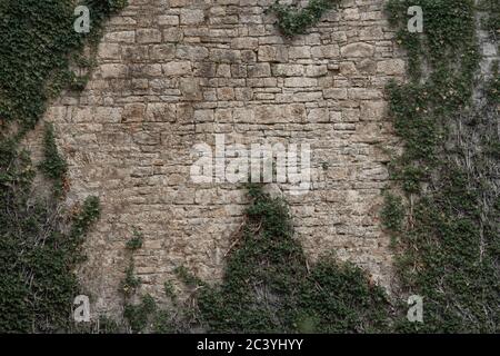 Brick wall of an old ashlar castle. Stock Photo