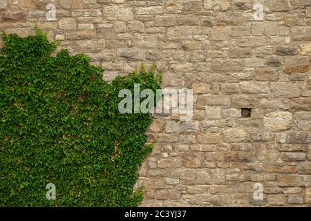 Brick wall of an old ashlar castle. Stock Photo