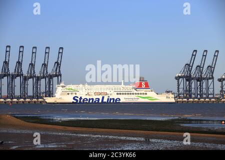 Stena Line ferry Stena Britannica entering the dock at Harwich/Felixstowe on route to Parkstone Quay. Stock Photo