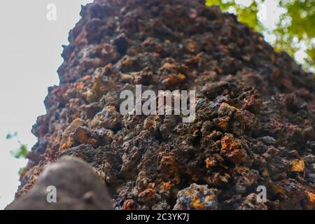 A wall made up of rock in which the front part is in focus and the background is blurred Stock Photo