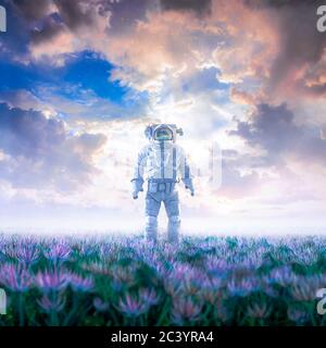 Stepping into dreams / 3D illustration of surreal science fiction scene with lone astronaut walking through field of flowers under glorious sky Stock Photo