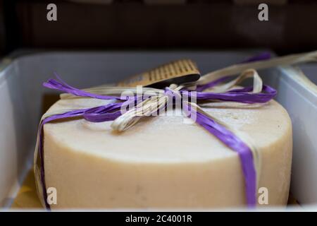 Pecorino shaped packed with a purple ribbon and a ribbon brown ribbon. White sheep's shape is not very seasoned Stock Photo