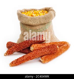Front view shot of a bag full of corn kernels with a medium group of corn cobs in front of it. Isolated on white Stock Photo