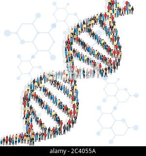 DNA chain made of dozens of people, white background Stock Vector
