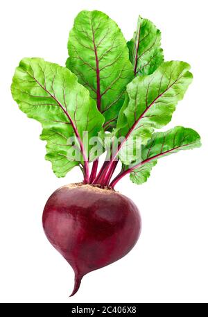 Beetroot isolated on white background with clipping path Stock Photo