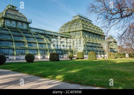 The Palmenhaus ( Palm house ) Schonbrunn is a large greenhouse in Vienna, Austria, featuring plants from around the world. It was opened in 1882. Stock Photo