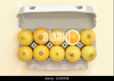 Conceptual Lemon Dozen Chicken Eggs In A Package Stock Photo