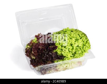 Red and Green Lettuce in Plastic Container on White Background Stock Photo