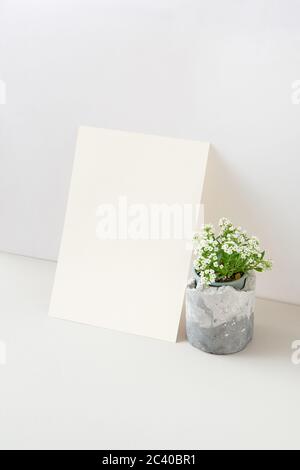 Greeting card with blooming houseplant and blank paper sheet. Stock Photo