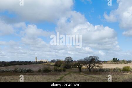 Fallow land with tall grasses with trees and fields with ancient minster on horizon on a bright, clear day in spring in Beverley, Yorkshire, UK. Stock Photo