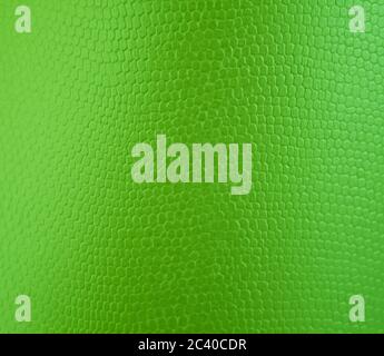 light green texture background for graphic design Stock Photo