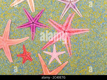 Sea stars on colorful sand Stock Photo