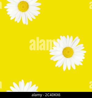 Seamless floral pattern. Chamomile over yellow background. Stock Photo