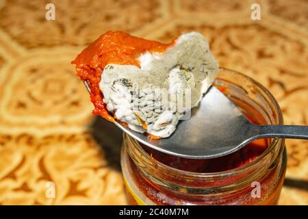 Mold growing on the tomato paste. Close up Stock Photo