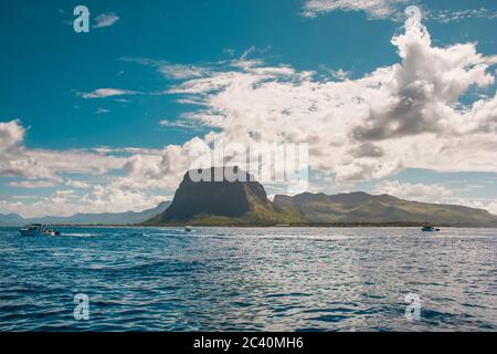 Swimming with dolphins in Le Morne Mauritius. Stock Photo