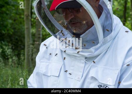 A beekeeper at work on his hives. Stock Photo