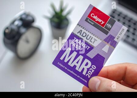 Calgary, Alberta, Canada. A Adult Transit Pass for the month of March of 2020 Stock Photo