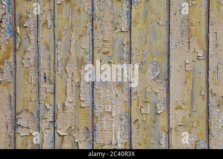 Old wooden painted rustic wall with blue flaky dye. Faded wood planks close-up. Peeling paint on boards. Texture of damaged rough wooden of panels. Stock Photo