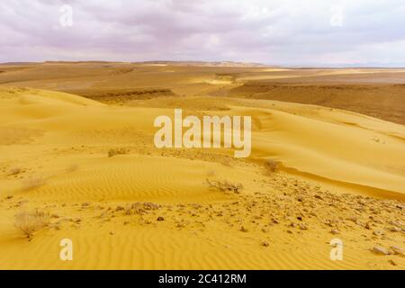 Desert landscape and sand dunes in the Uvda valley, the Negev desert, southern Israel Stock Photo