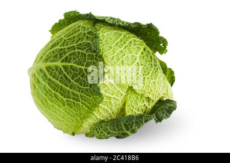 Whole head of savoy cabbage over white background Stock Photo