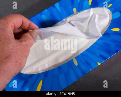 Closeup POV shot of a man’s hand holding and pulling a soft white tissue from a blue retail mansize box. Stock Photo