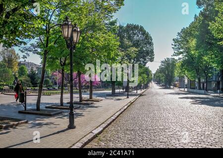 Odessa, Ukraine 28.04.2020. Spring flowering trees in the city garden of Odessa, Ukraine, on a sunny April morning Stock Photo