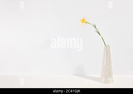 One yellow clove flower in a vase on the white table. Minimalist Scandinavian interior design. Stock Photo