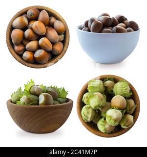 Fresh hazelnuts isolated on white background. Hazelnuts in a bowl with copy space for text. Hazelnut close-up. Set of hazelnuts on white background. T Stock Photo