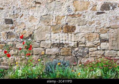 Background historic stone wall of a castle with flower garden Stock Photo