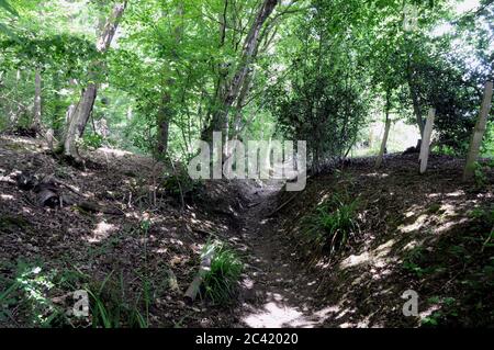 A path through the High Wealden landscape of East Sussex. Many of the routes follow the high ground to make them more passable in the wetter months. Stock Photo