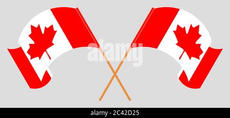 Crossed and waving flags of Canada. Vector illustration Stock Vector