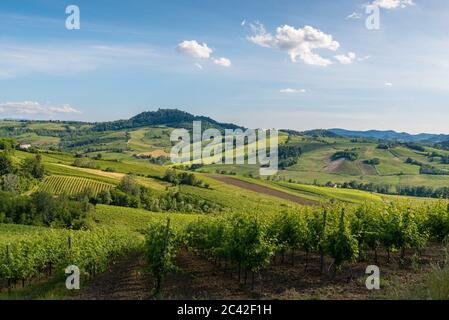Oltrepo' Pavese landscape hills with vineyards and country roads and Montalto Pavese castle in the background in a sunny day Stock Photo