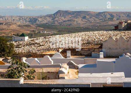 Impressions of Morocco: Huge graveyard of Fès Stock Photo