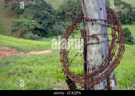 A barbed wire roll around a wooden post on a very green grass with trees on the background Stock Photo