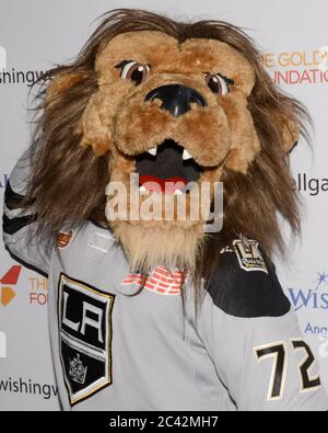 La kings mascot Bailey  Kings hockey, La kings hockey, La kings