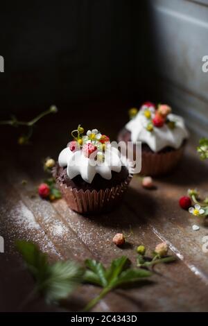 Two chocolate cupcakes with wild strawberries and whipped cream Stock Photo